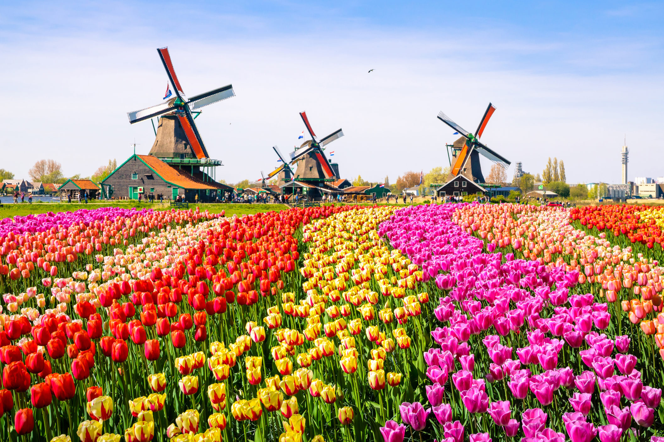 Netherlands [Shutterstock]