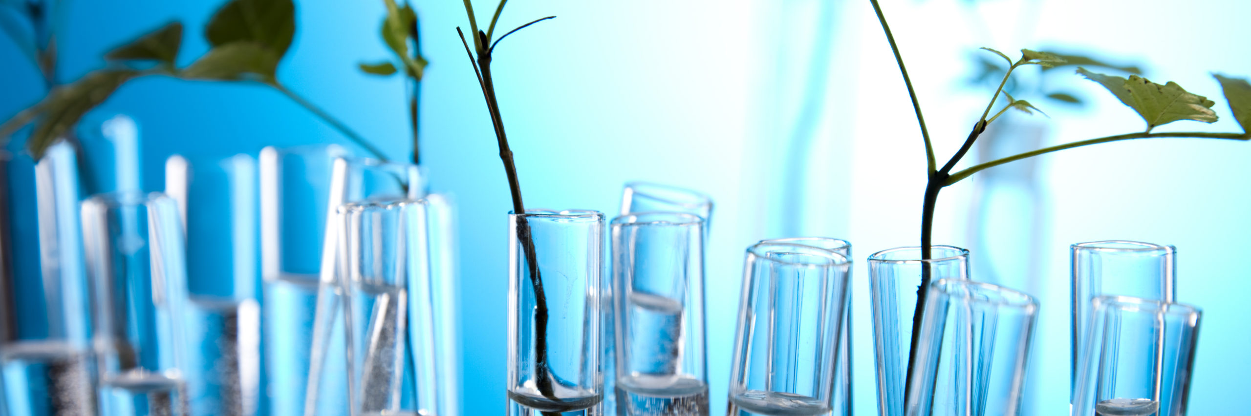 Floral science in laboratory - Image [shutterstock]