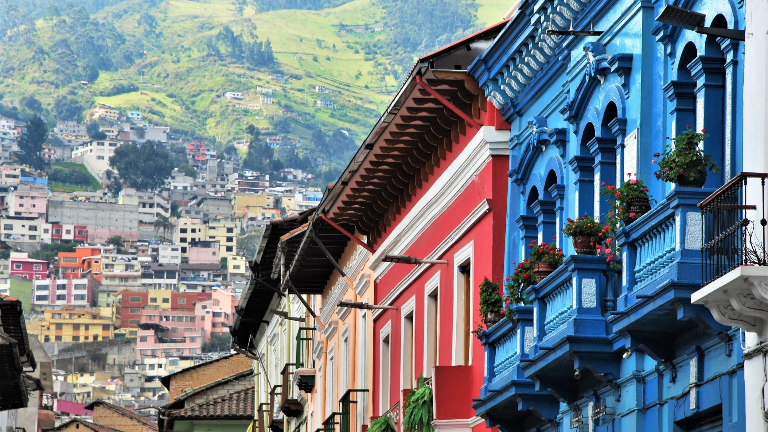 Ecuador [Shutterstock]