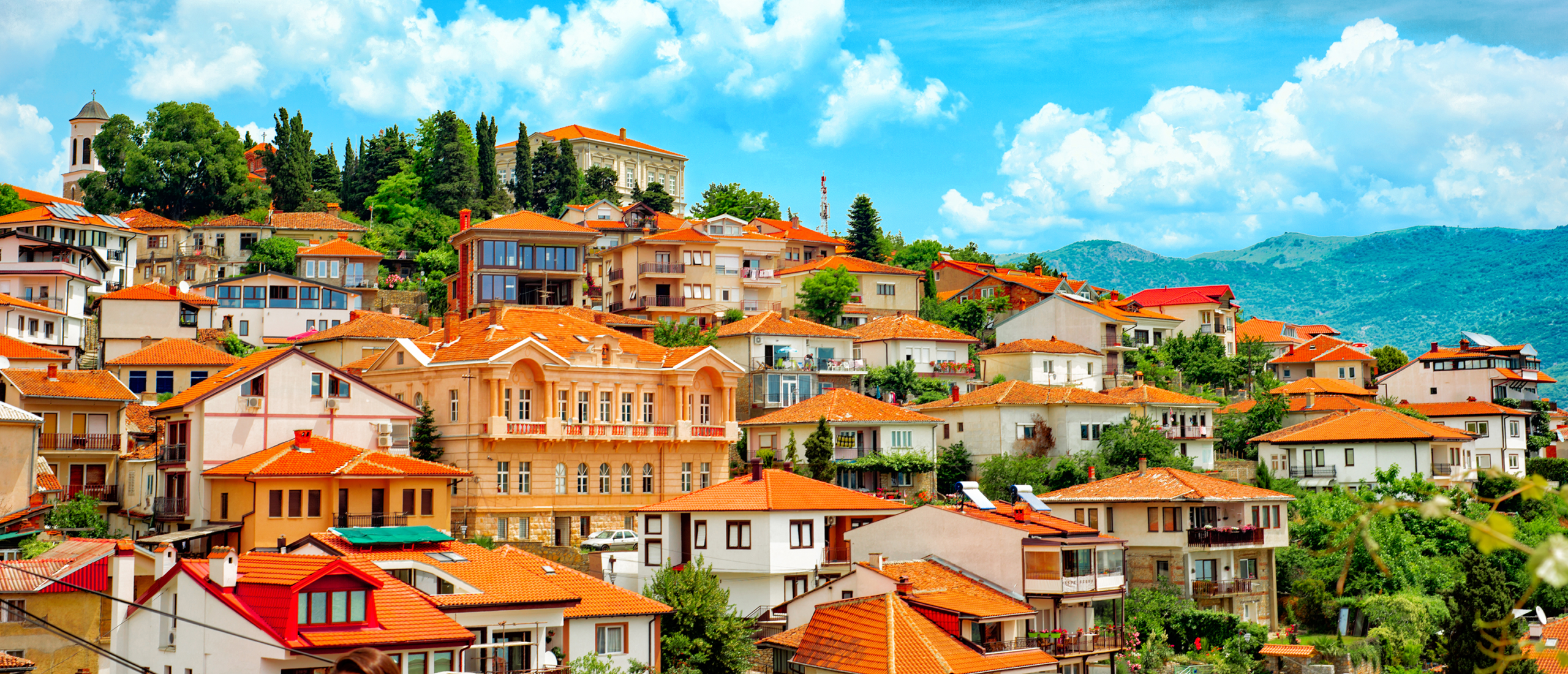 Red roofed houses on hill