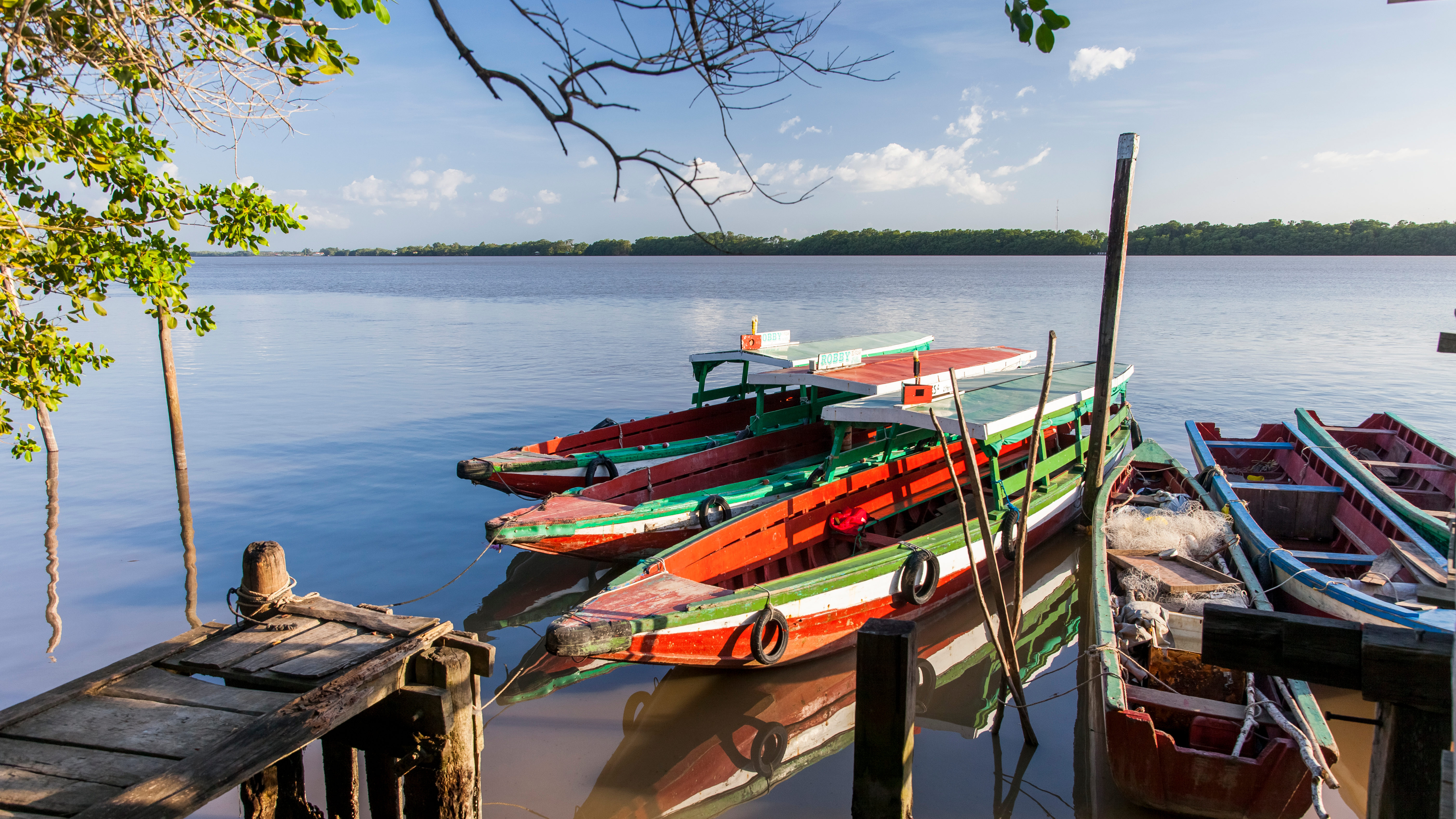 Suriname [Shutterstock]