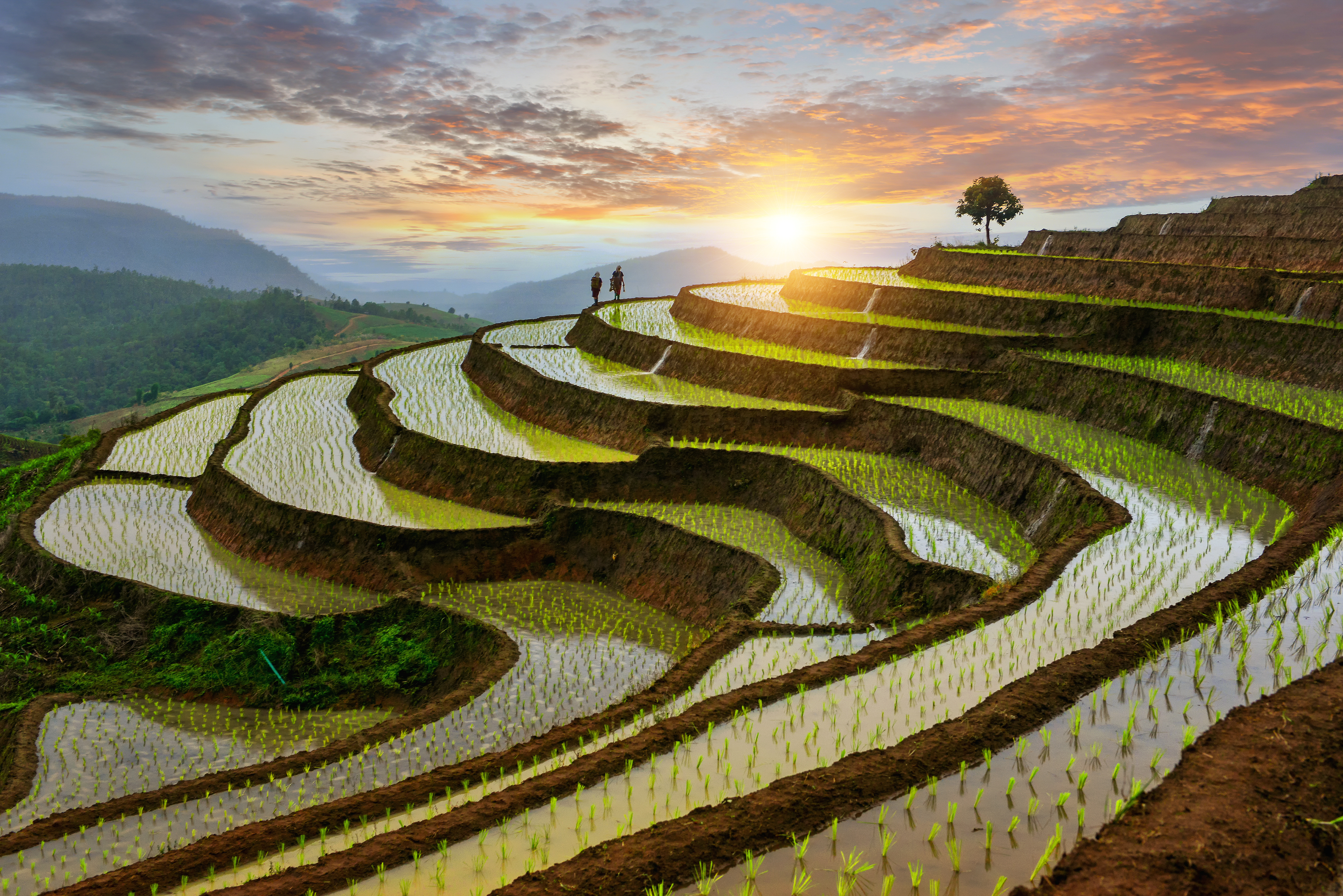 Thailand [Shutterstock]