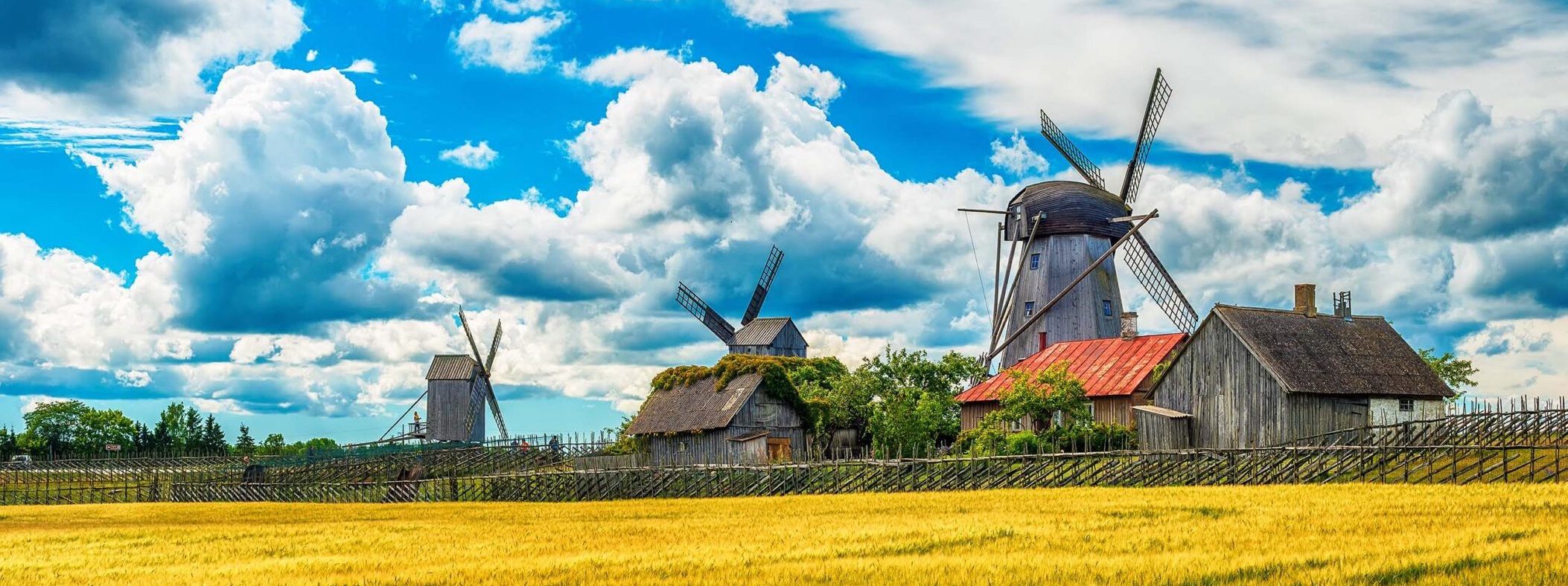 Saarema Island, Estonia: summer fields and Angla windmills in Leisi Parish