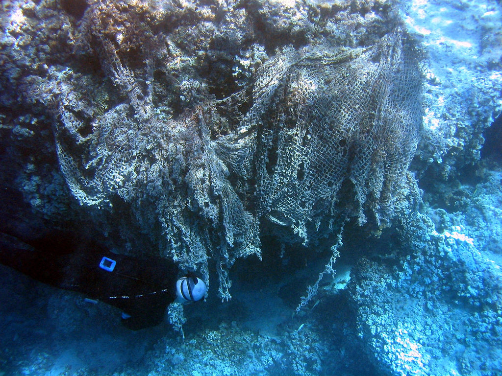 Marine debris can impact important marine habitats. Large debris items, such as derelicts nets, can smother corals, causing harm to the coral organism and the greater ecosystem. For more information about marine debris and how it can be prevented, visit the NOAA Marine Debris Program website. [Credit: NOAA PIFSC]