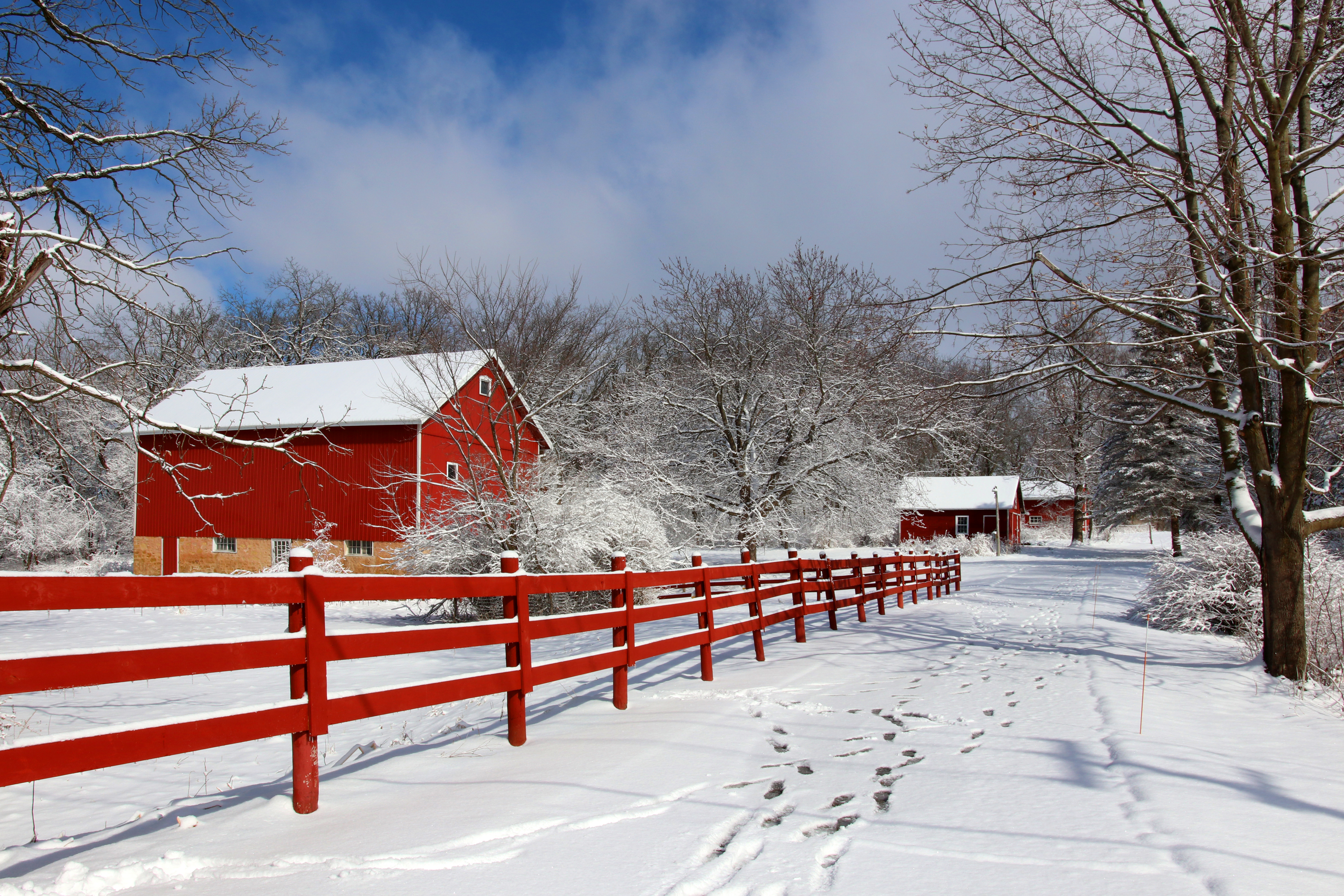 Agriculture and rural life at winter background.Rural landscape with red barn, wooden red fence and trees covered by fresh snow in sunlight. Scenic winter view at Wisconsin, Midwest USA, Madison area. - Image
