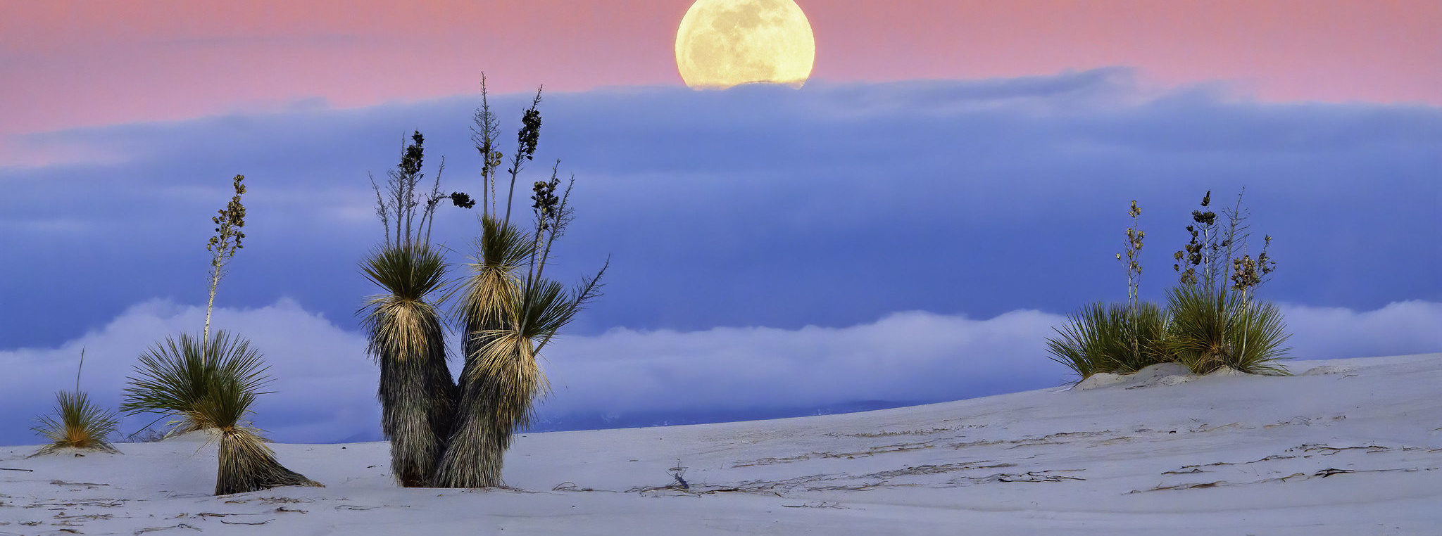 White Sands Moon rise, White Sands National Monument, New Mexico. Photo credit: New Mexico via Flickr.
