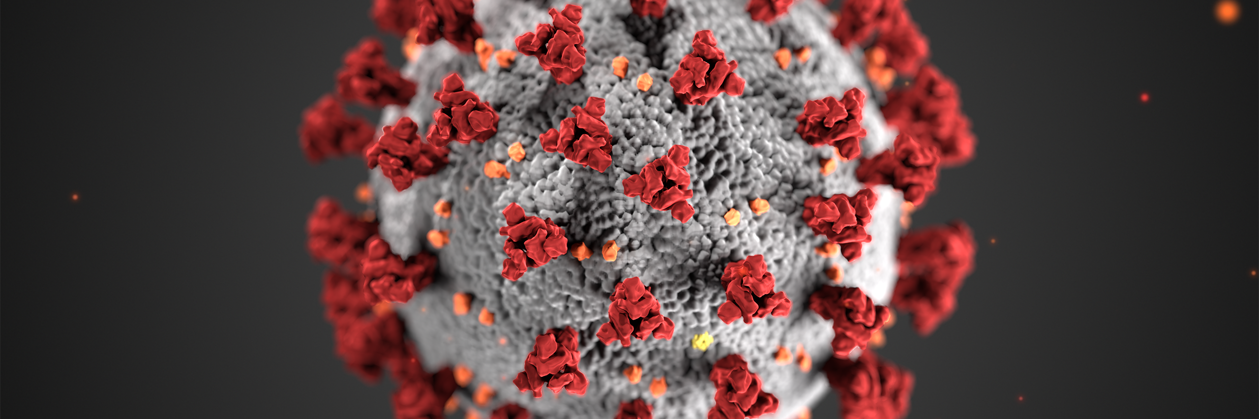 This illustration, created at the Centers for Disease Control and Prevention (CDC), reveals ultrastructural morphology exhibited by coronaviruses. Note the spikes that adorn the outer surface of the virus, which impart the look of a corona surrounding the virion, when viewed electron microscopically. A novel coronavirus, named Severe Acute Respiratory Syndrome coronavirus 2 (SARS-CoV-2), was identified as the cause of an outbreak of respiratory illness first detected in Wuhan, China in 2019. The illness caused by this virus has been named coronavirus disease 2019 (COVID-19). [CDC Image - Photo Credit: Alissa Eckert, MS; Dan Higgins, MAM]