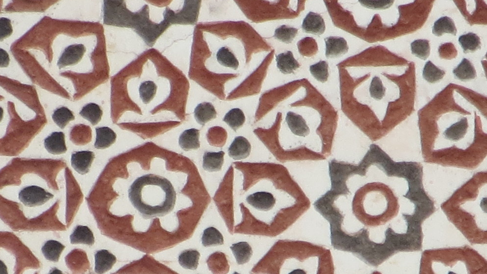 Plaster detail from inside the 16th century Batashewala Mughal Tomb Complex in Delhi, India. (Photo courtesy of the Cultural Heritage Center)