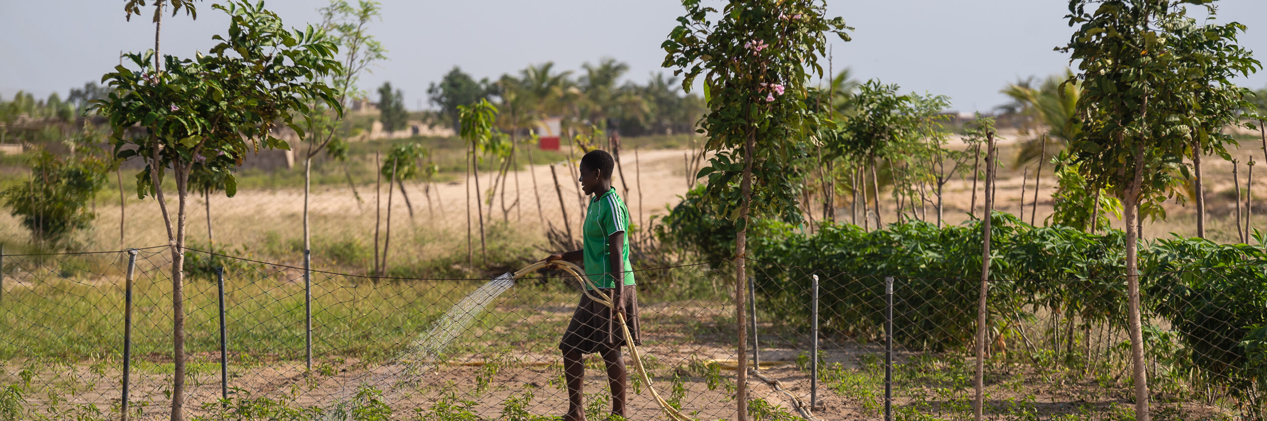 Woman watering land.