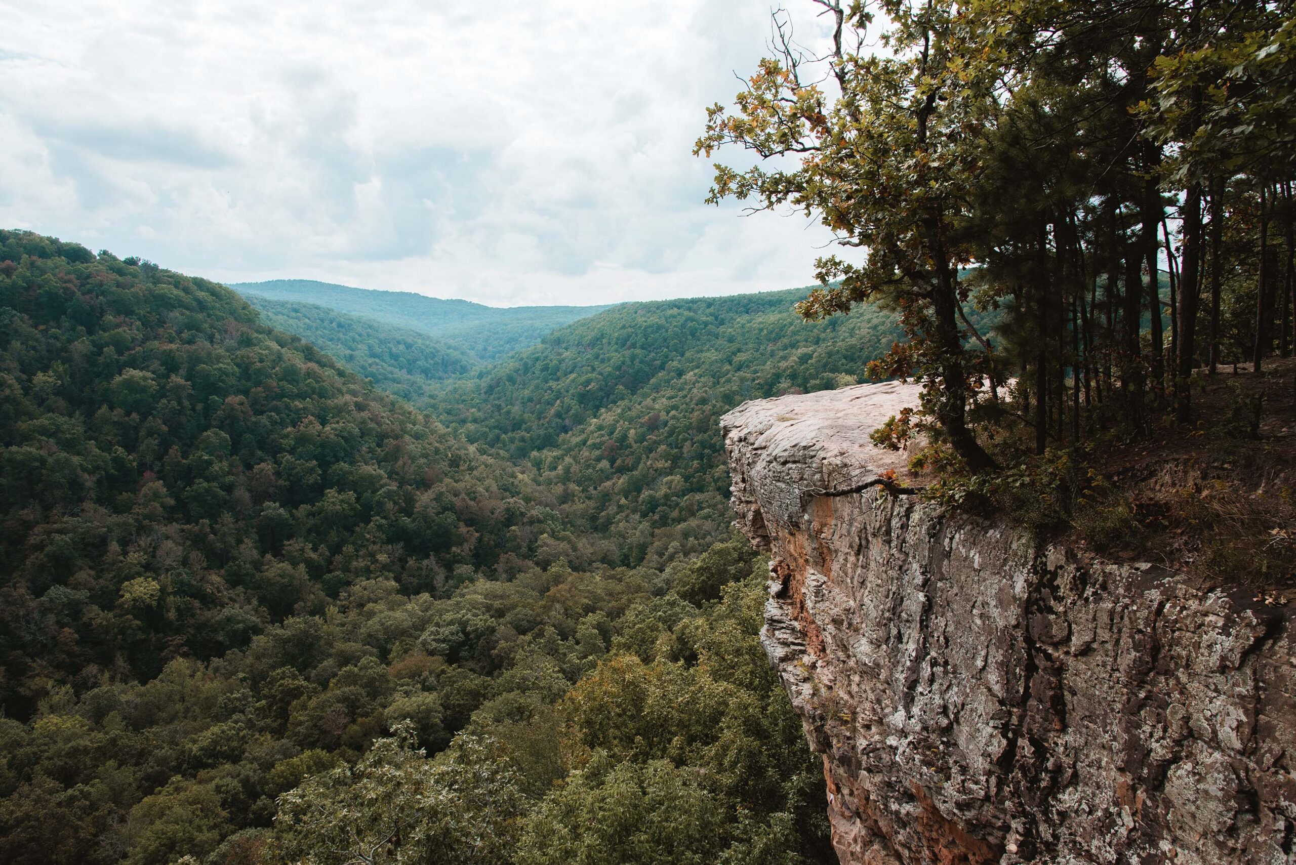 Bluff lines and rock formations at Hawksbill Crag Hiking Trail; near Fayetteville, Arkansas