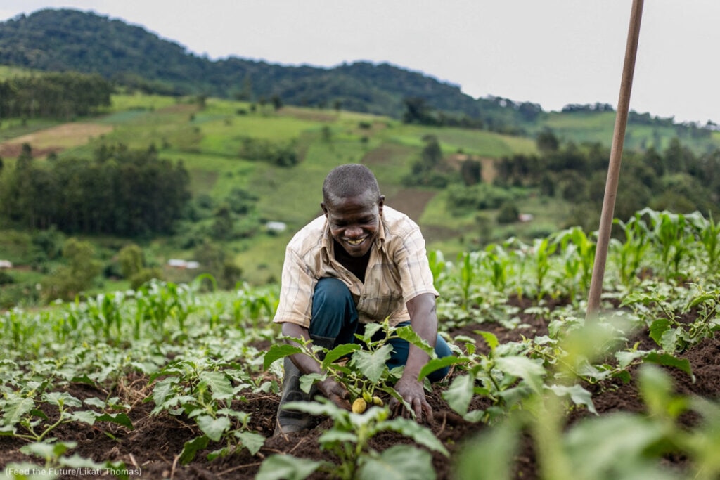 A farmer in Tanzania with his eggplants. (Feed the Future/Likati Thomas)