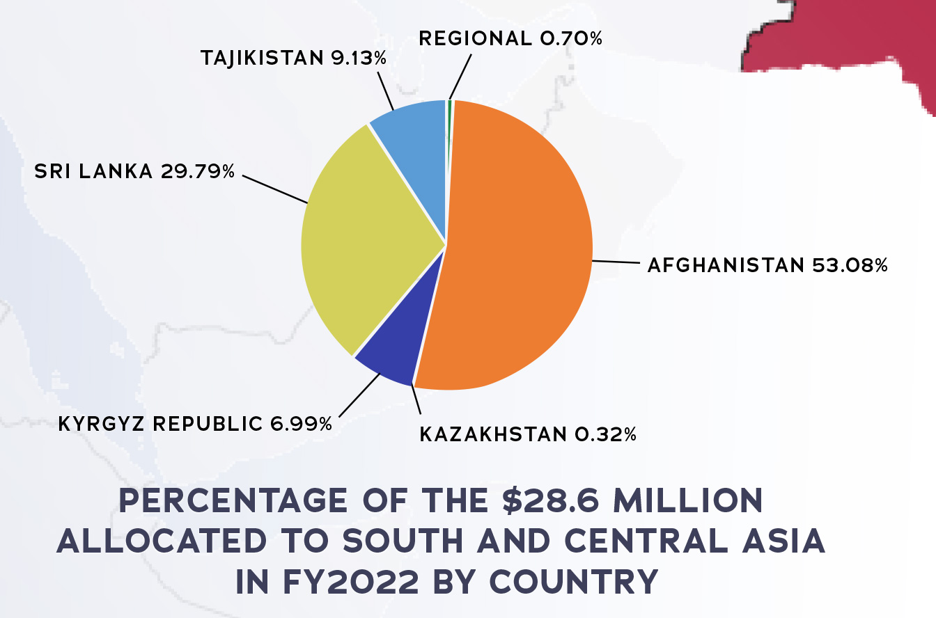 Percentage of the $28.6 million allocated to South and Central Asia in FY2022 by country, full text description in Appendix A