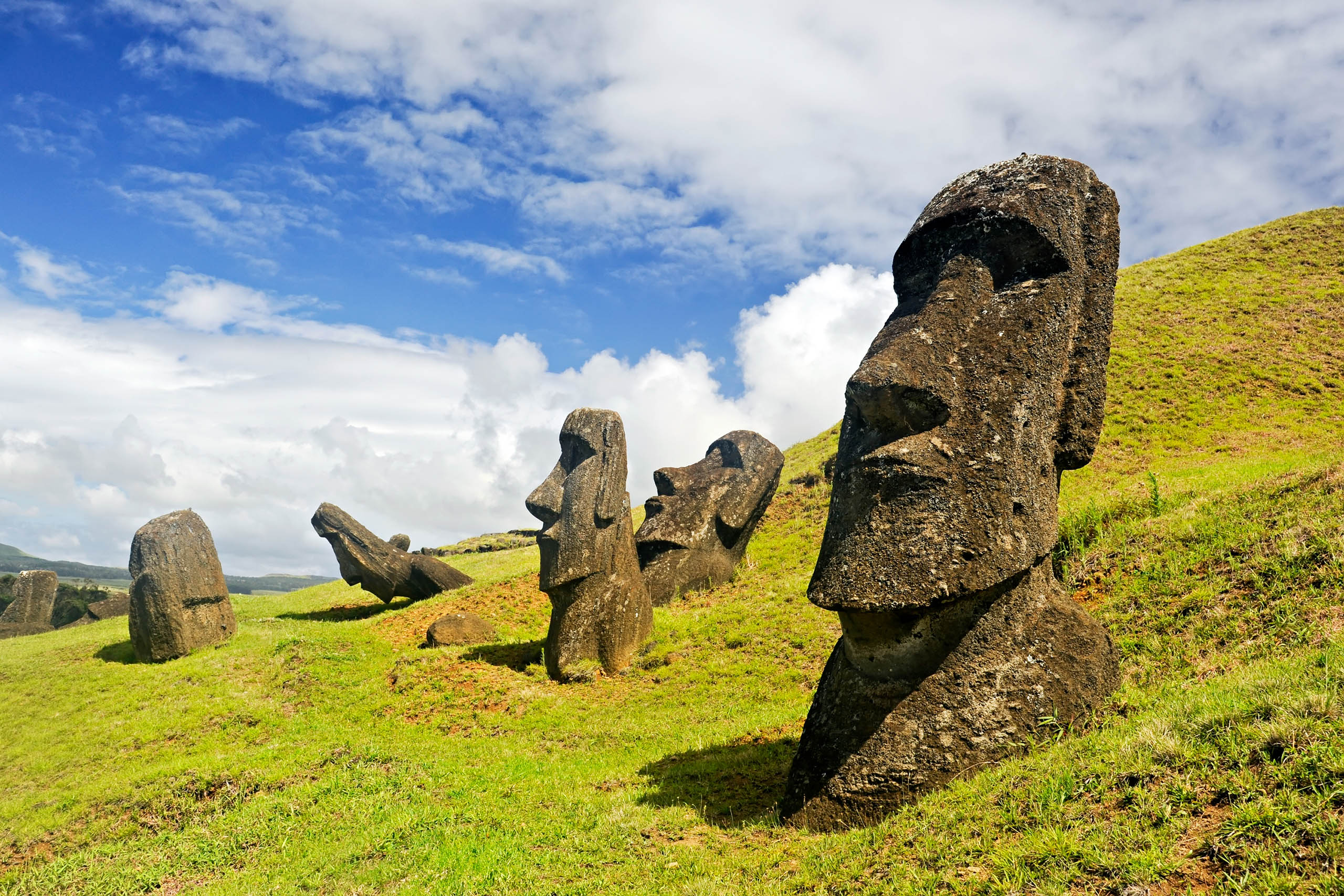 CHILE -FEBRUARY 6: Moais in Rapa Nui National Park on the slopes of Rano Raruku volcano on Easter Island, Chile.