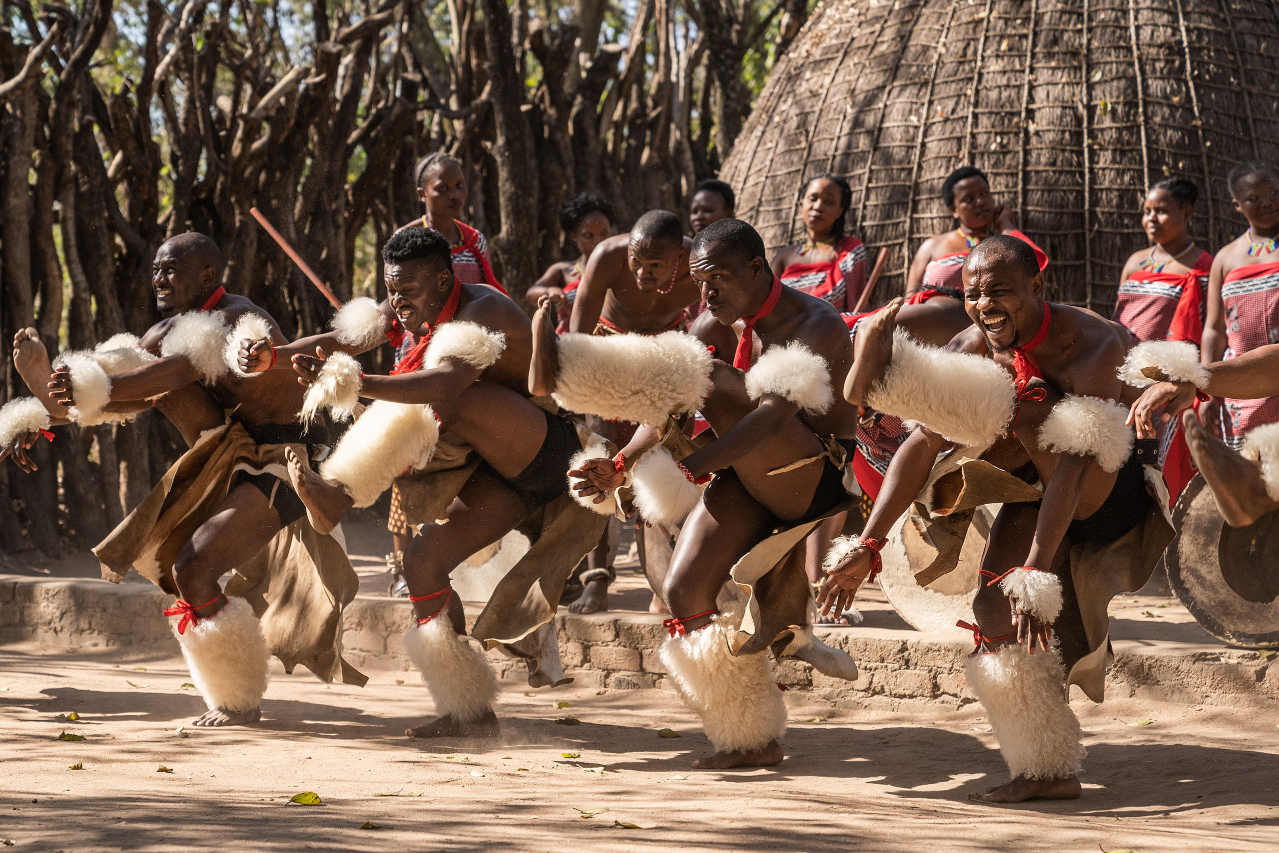 Swasiland, Eswatini - 15.07.2019 - singing, dancing and celebrating people from eswatini