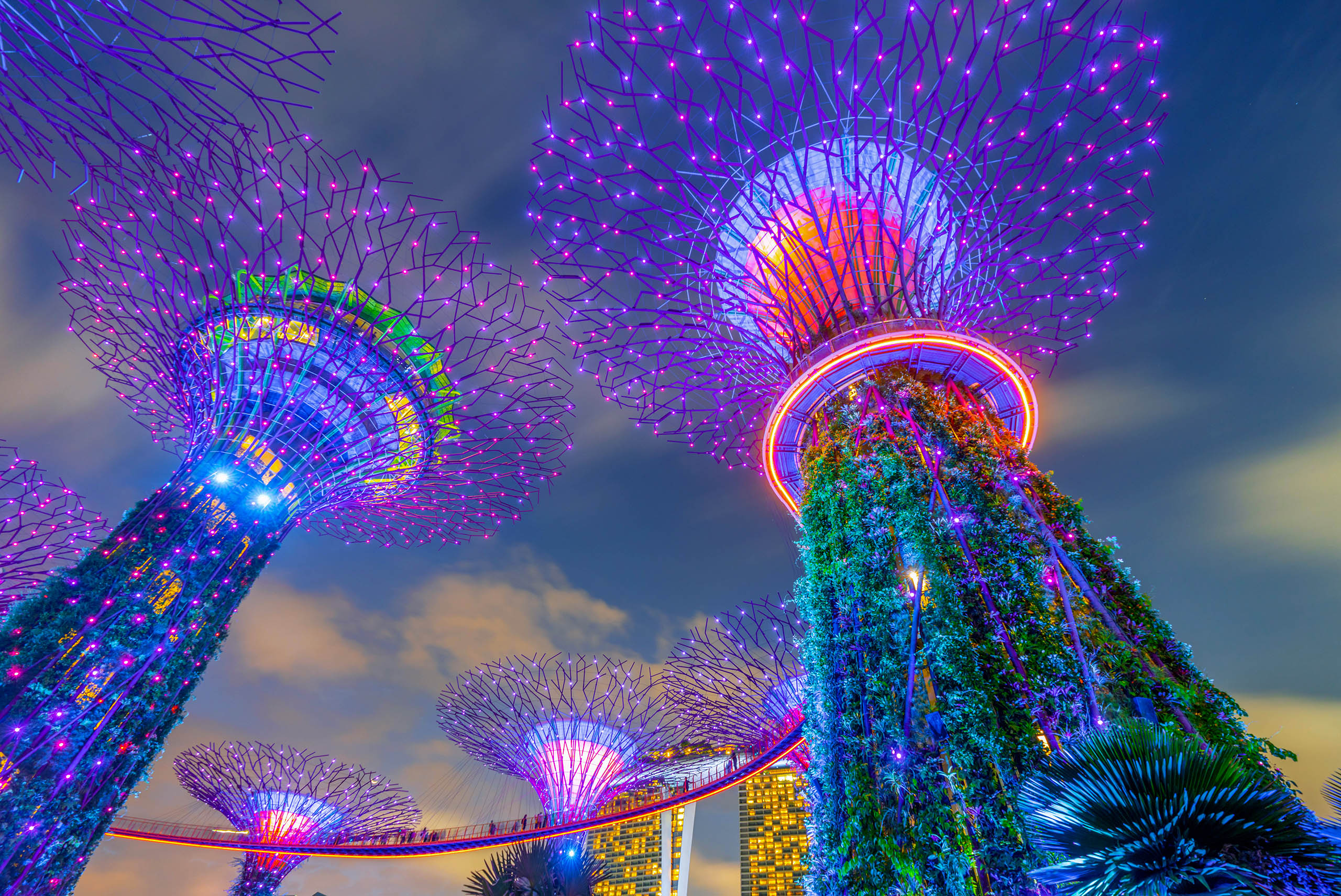 SINGAPORE - JANUARY 27, 2020: Supertrees at Gardens by the Bay. The tree structures are fitted with environmental technologies, Singapore at twilight