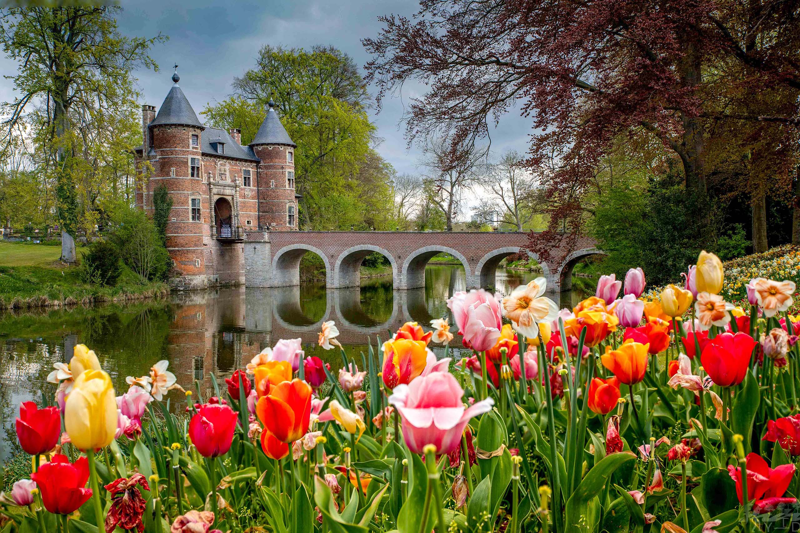 Tulips in front of the castle of Grand-Bigard in Dilbeek (Belgium)